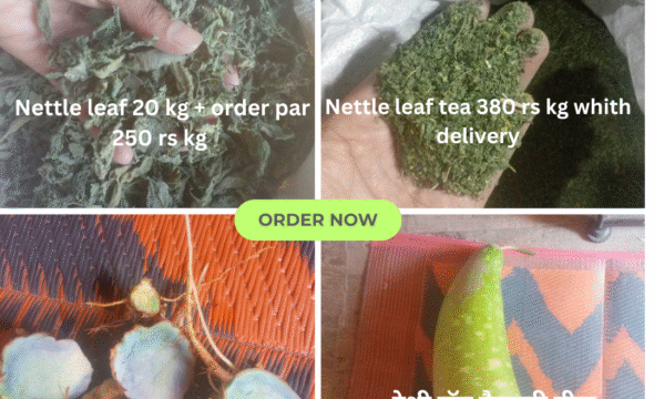 Dial-Rishikesh-Local-Support-24-590×590