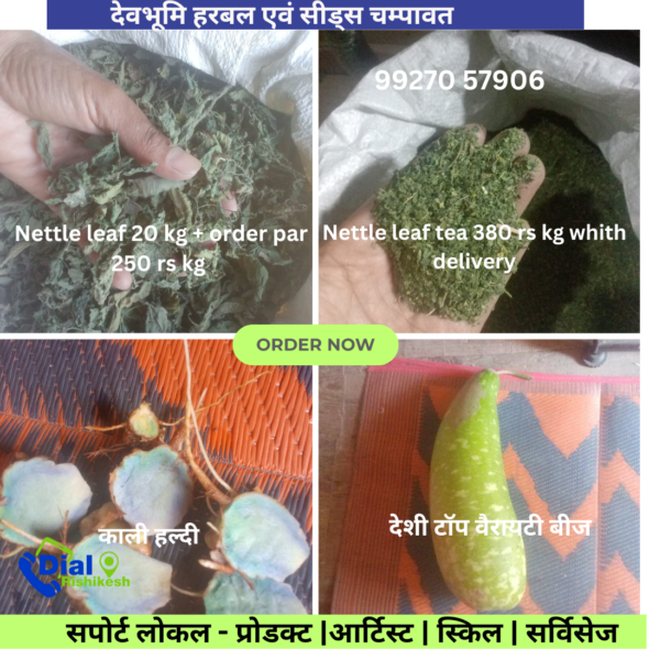 Dial-Rishikesh-Local-Support-24-590×590
