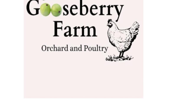 Doon-goose-Berry-scaled