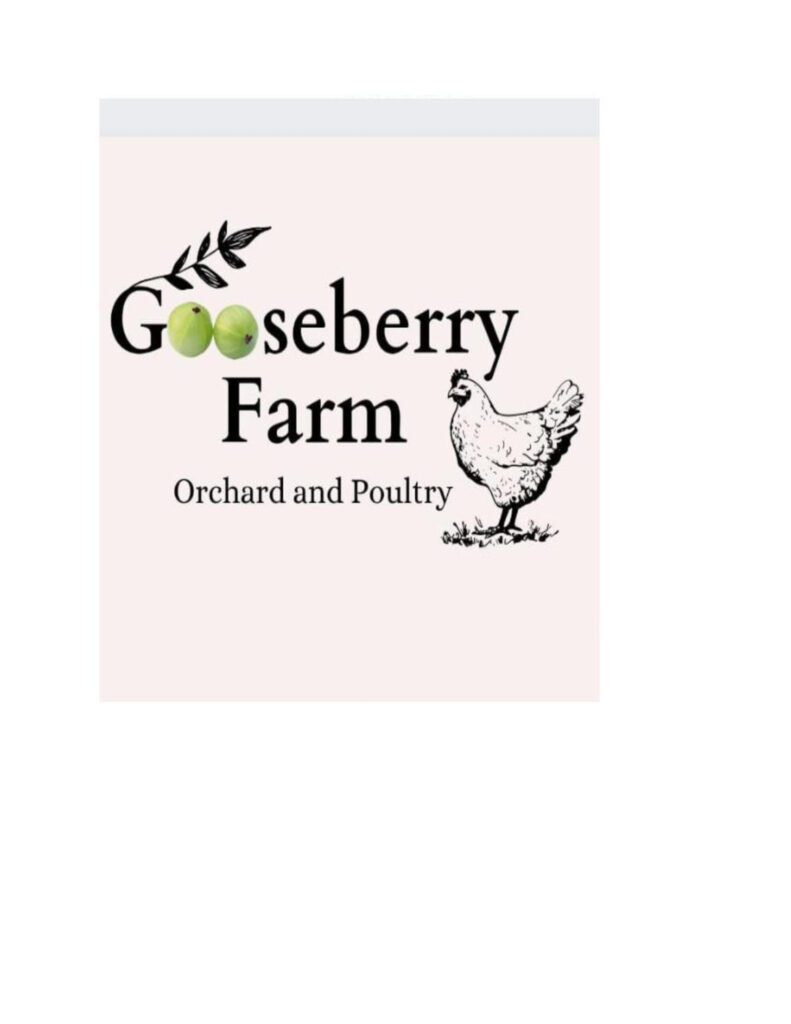 Doon-goose-Berry-scaled