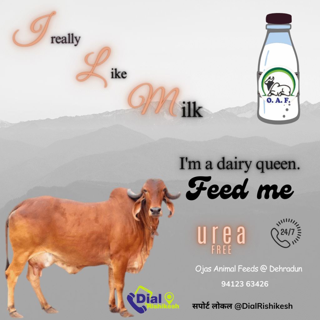 Ojas-Animal-Feeds-@-Dehradun