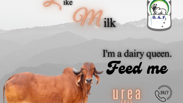Ojas-Animal-Feeds-@-Dehradun