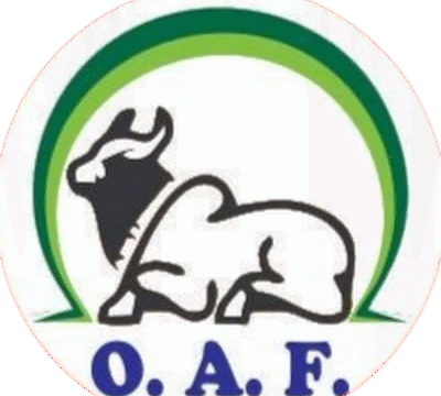 Ojas-Feed