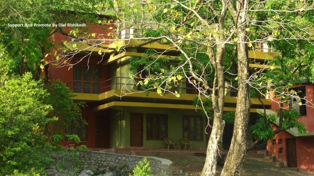 rainforest1