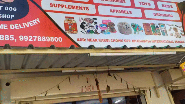smart-dog-and-pet-shop