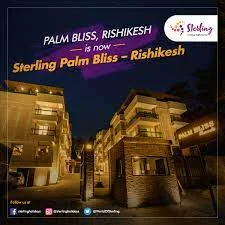 PalmBliss_02