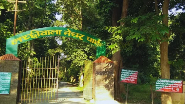 Lachiwala