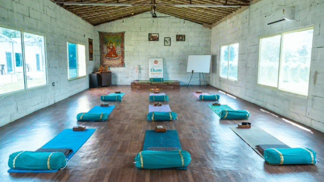 Yoga Teacher Training in Rishikesh India